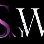 Skyweb Studio