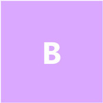 Bayramix