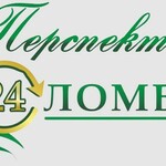 Перспективный ломбард