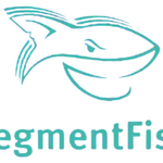 Сегмент Фиш