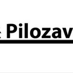 Компания Пилозавод
