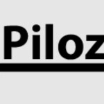 Организация Пилозавод