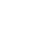 Нижегородский государственный технический университет им. Р.Е. Алексеева