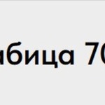 Рабица 702