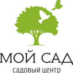 Мой сад